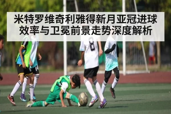米特罗维奇利雅得新月亚冠进球效率与卫冕前景走势深度解析 - app